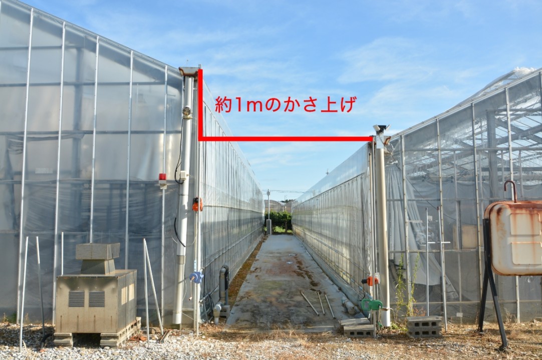 đá gà trực tiếp thomo hôm nay