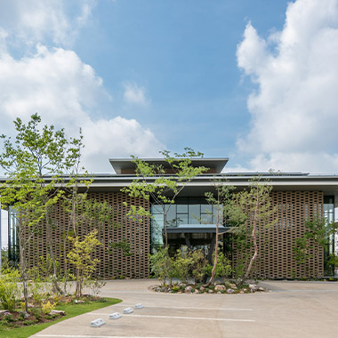 trực tiếp đá gà thomo